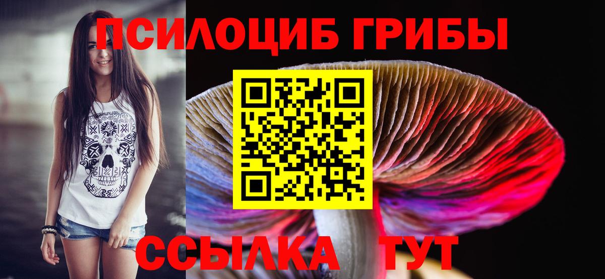 Унеча  Галлюциногенные грибы Cubensis  Вход с VPN 